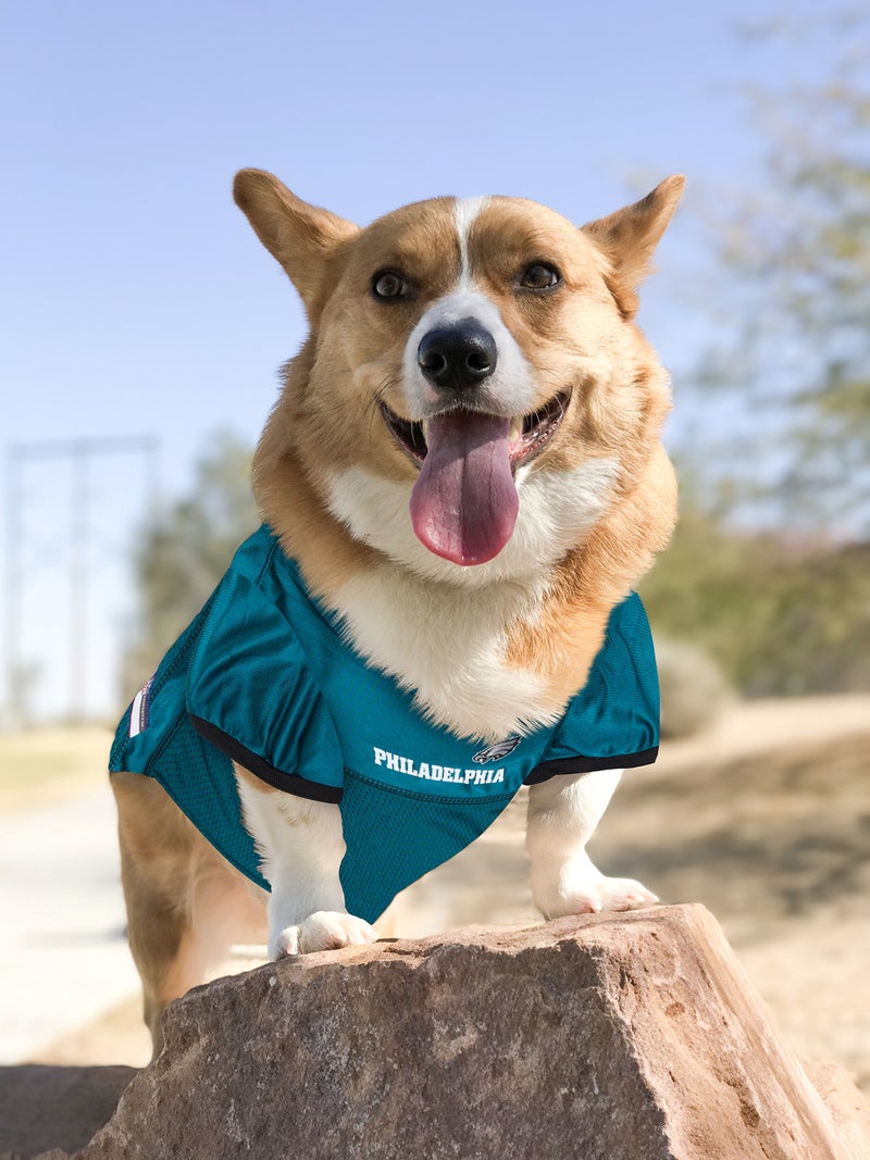Pets First NFL Philadelphia Eagles Dog Jersey, Medium, Poly-mesh and Satin, Officially Licensed - Image 2